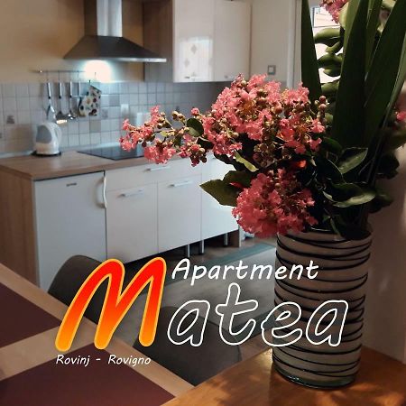Apartment Matea Rovigno Esterno foto